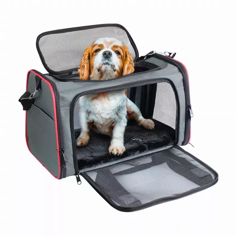 Small dog sitting in a grey and red GOOPAWS soft-sided dog carrier with the front open