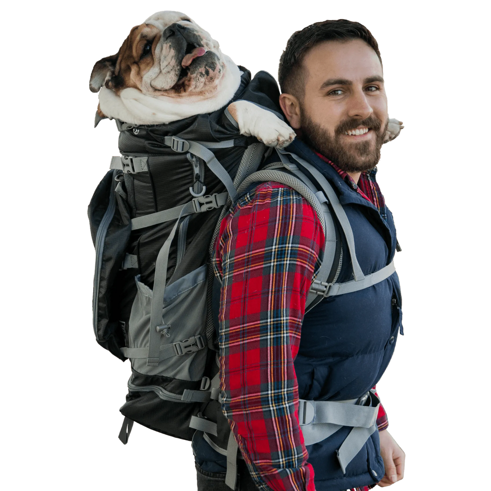Man carrying a bulldog on his back in the K9 Sport Sack Kolossus dog carrier backpack