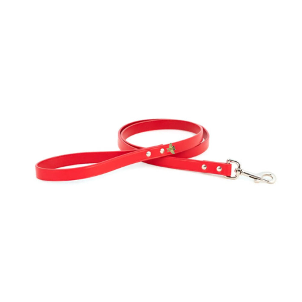 Bark Fifth Avenue Gold Bee Charm Dog Leash