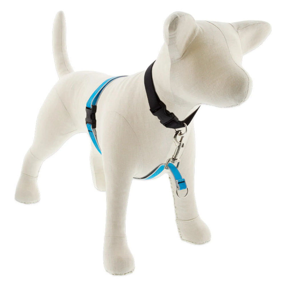 Lupine Pet Night-Bright No-Pull Dog Harness, Reflective Safety