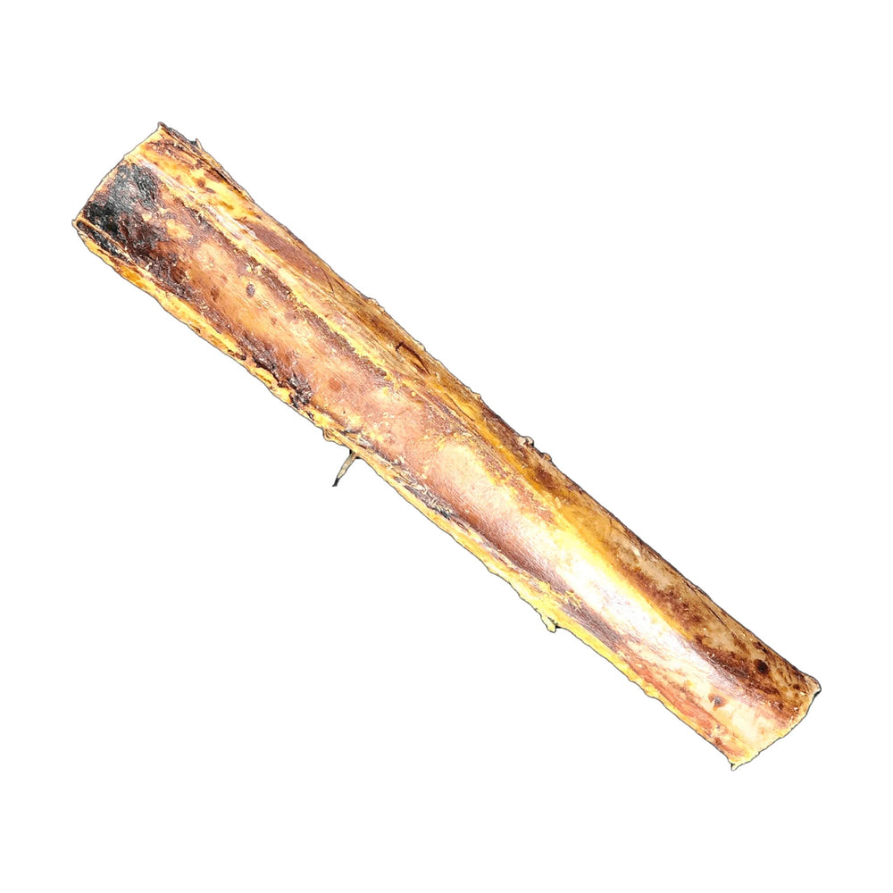 Savannah ostrich shaft bone dog chew on a white background