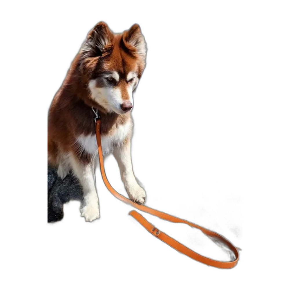 Aria the Fox Vegan Leather Dog Leash, Sunrise Brown, Soft Grip, shown on a white background
