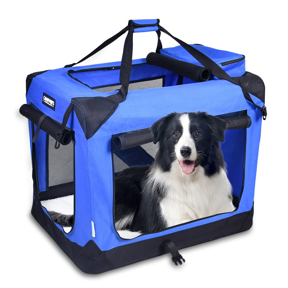 Border collie lying in a blue GOOPAWS soft folding dog crate