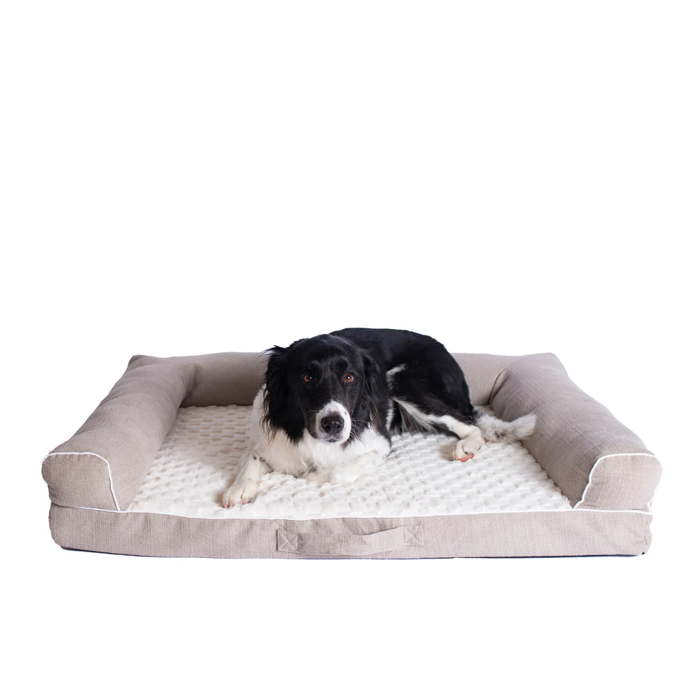 Armarkat bolstered memory foam dog bed in ivory and beige