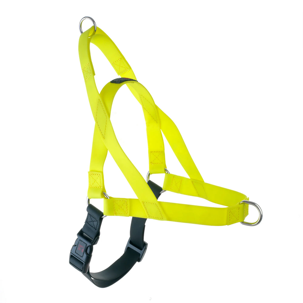 Yellow Ultrahund Freedom no-pull dog harness