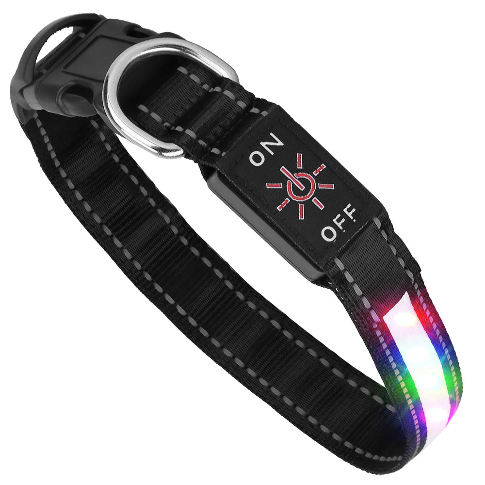 Black LED light-up dog collar with on/off switch and light strip