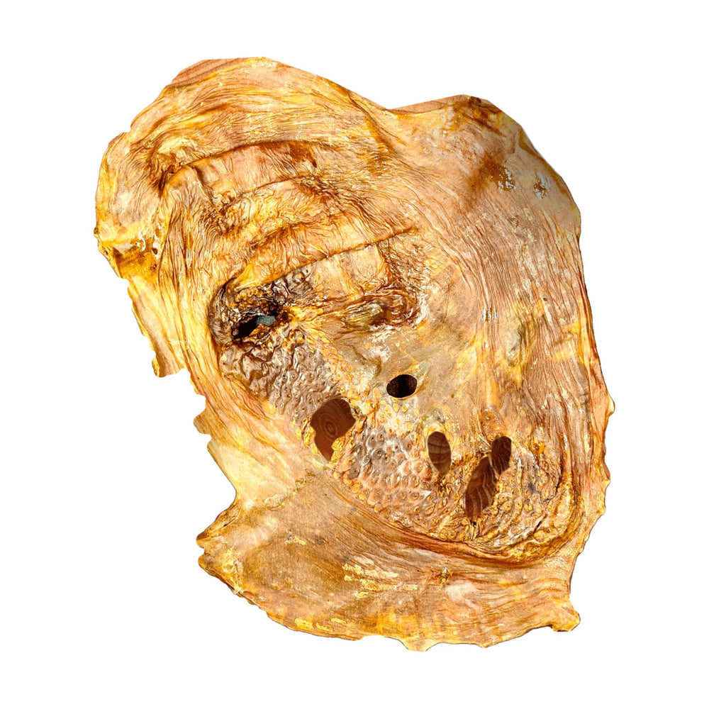 Savannah whole ostrich gizzard dog chew on a white background