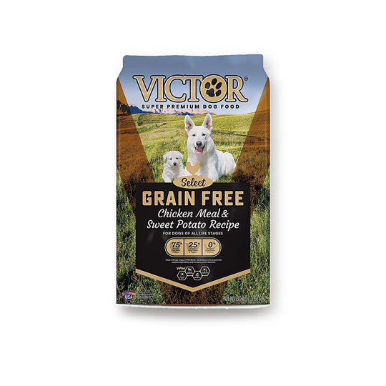 Victor Grain-Free Chicken Meal and Sweet Potato dog food bag on white studio background